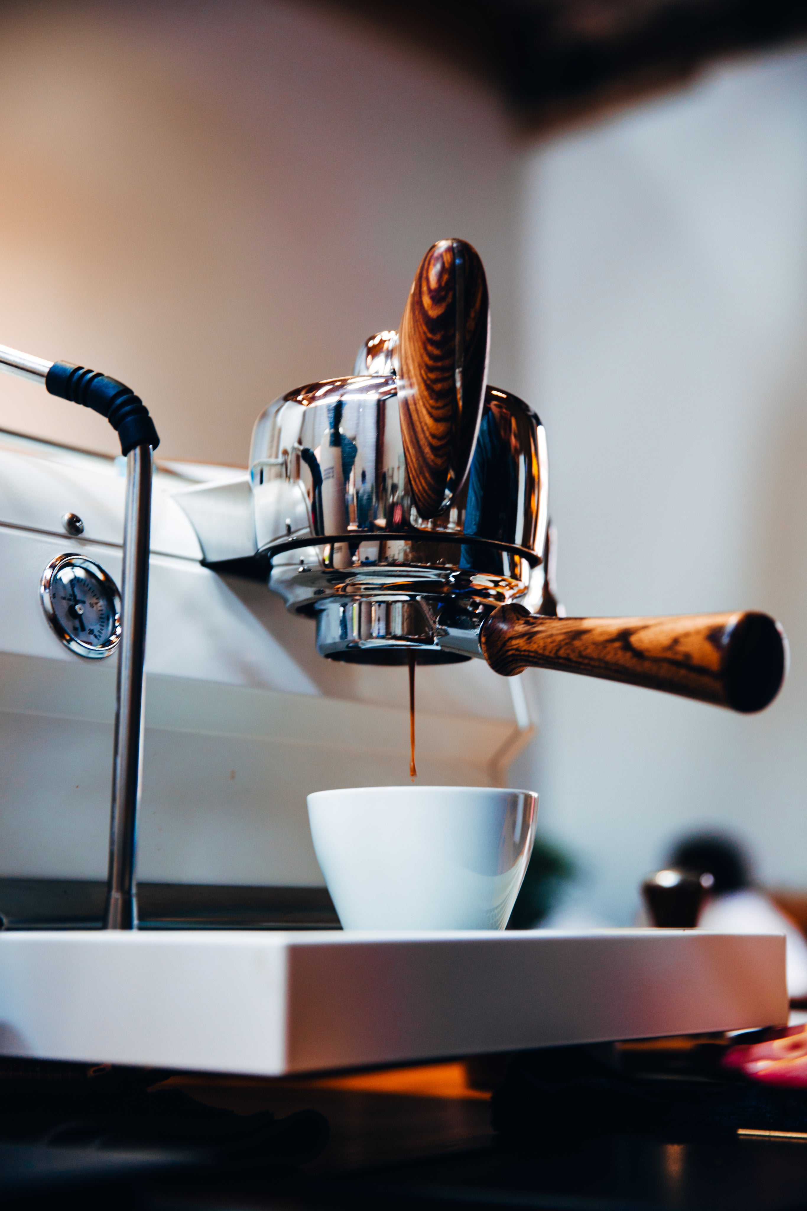 Kaffaberry - Ethiopia 🇪🇹 (Medium Roast)